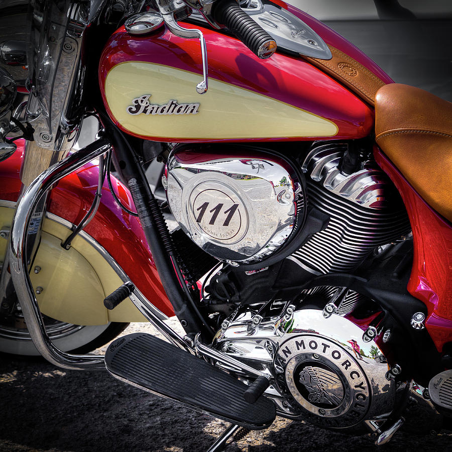 The Indian Chief Photograph by David Patterson