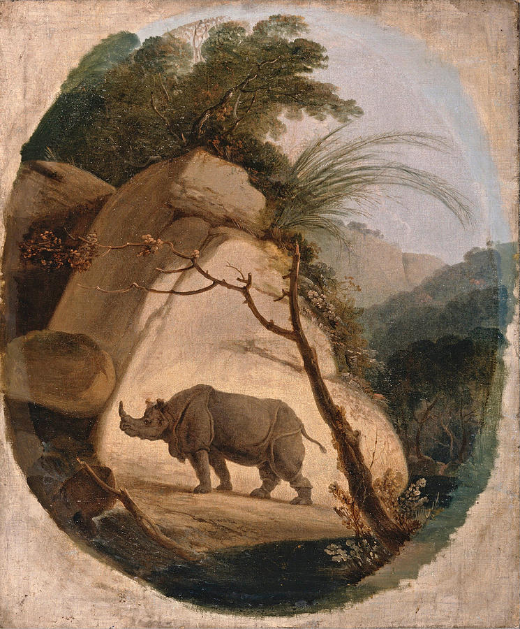 The Indian Rhinoceros Painting by Thomas Daniell