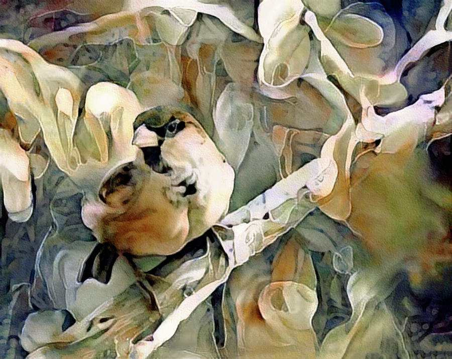 The Inquisitive Sparrow by Susan Maxwell Schmidt The Inquisitive Sparrow by Susan Maxwell Schmidt