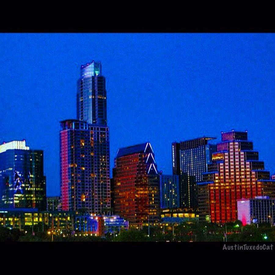 Cool Photograph - The #instaawesome #austin #skyline On A by Austin Tuxedo Cat