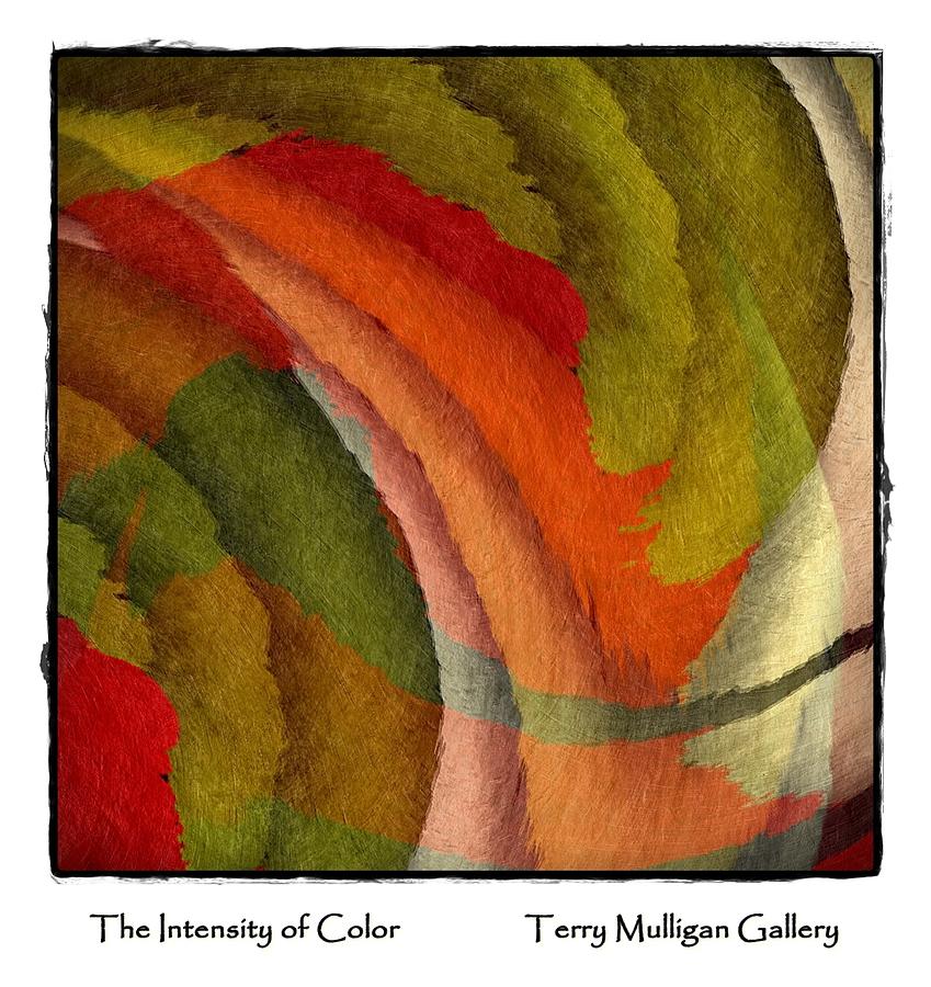 Abstract Digital Art - The Intensity of Color by Terry Mulligan