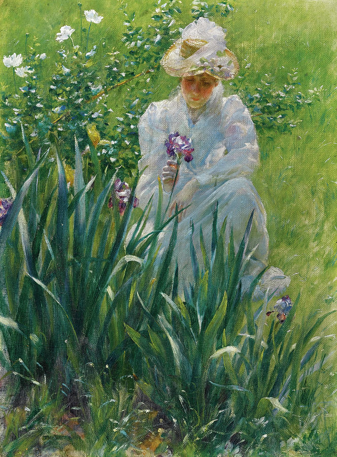 The Iris Bed Painting by Charles Courtney Curran