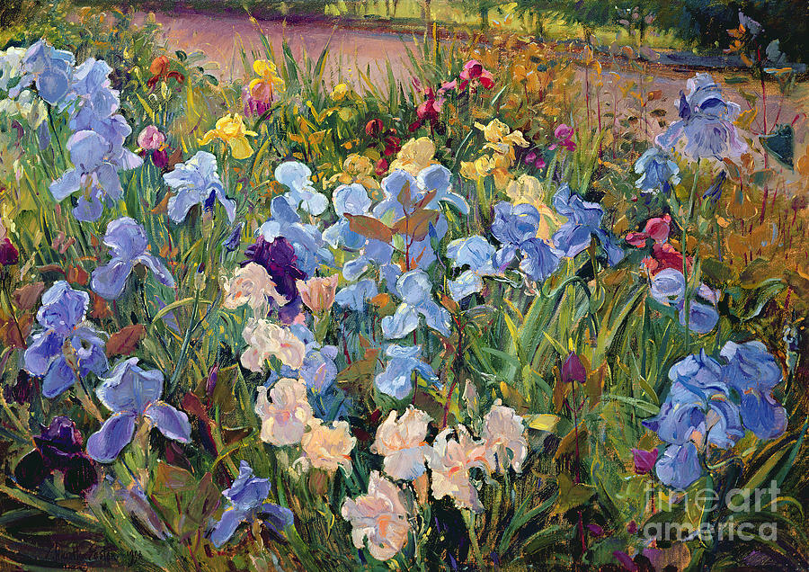 Flower Painting - The Iris Bed by Timothy Easton