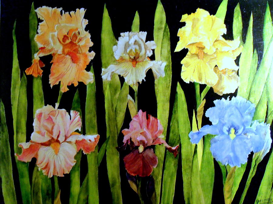 The Iris Garden Painting by Carol Grimes