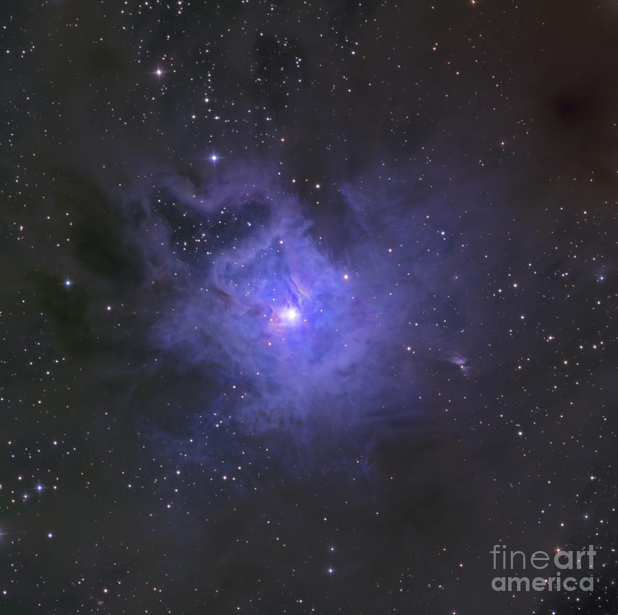 The Iris Nebula Photograph by Ken Crawford