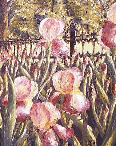 The Iris Patch Painting by Biki Chaplain The Iris Patch Painting by Biki Chaplain