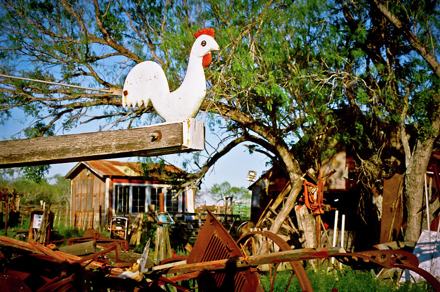 The Iron Chicken Photograph by Linda Unger