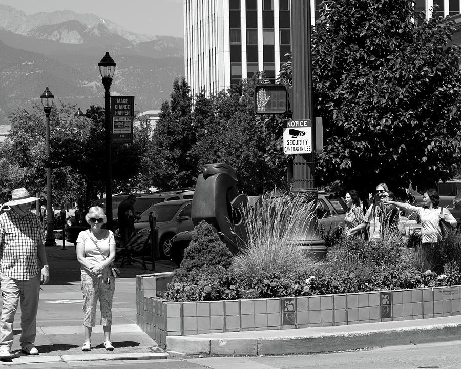 The Irony by Robert Gray The Irony by Robert Gray