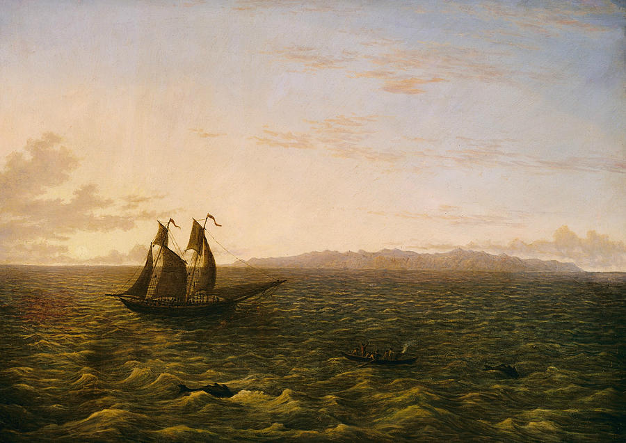 The Island of Madeira Painting by John Glover