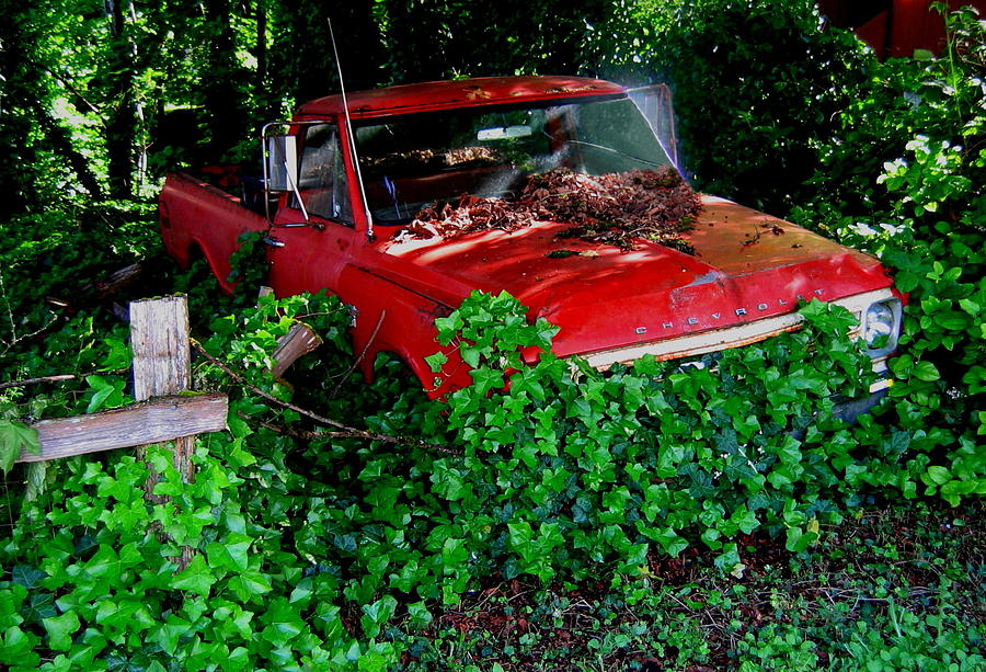 The Ivy Chevy Photograph by Larry Bacon