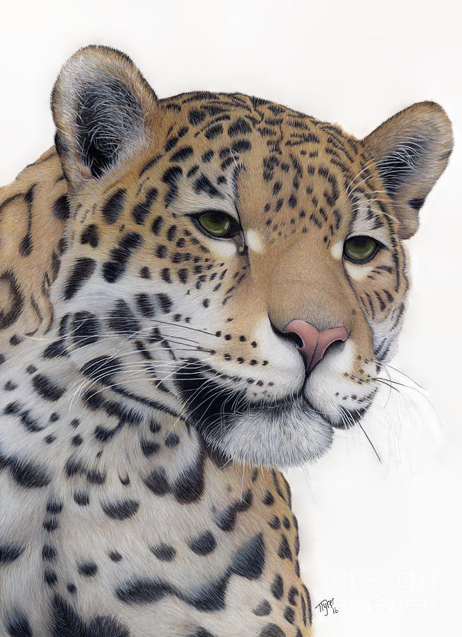 The Jaguar Painting by Tanya Tyrer - Fine Art America