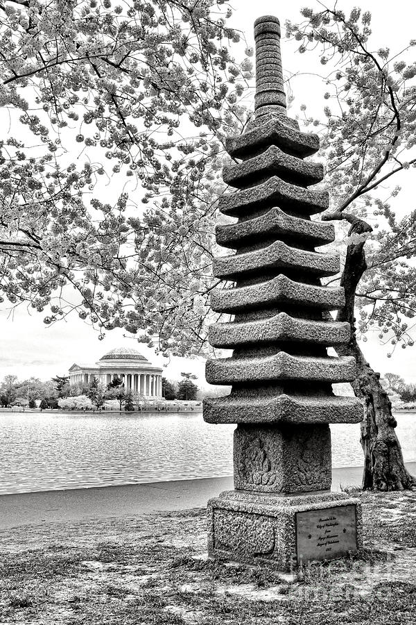 The Japanese Pagoda Photograph by Olivier Le Queinec