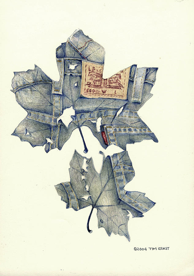 The jeans leaf Drawing by Tim Ernst