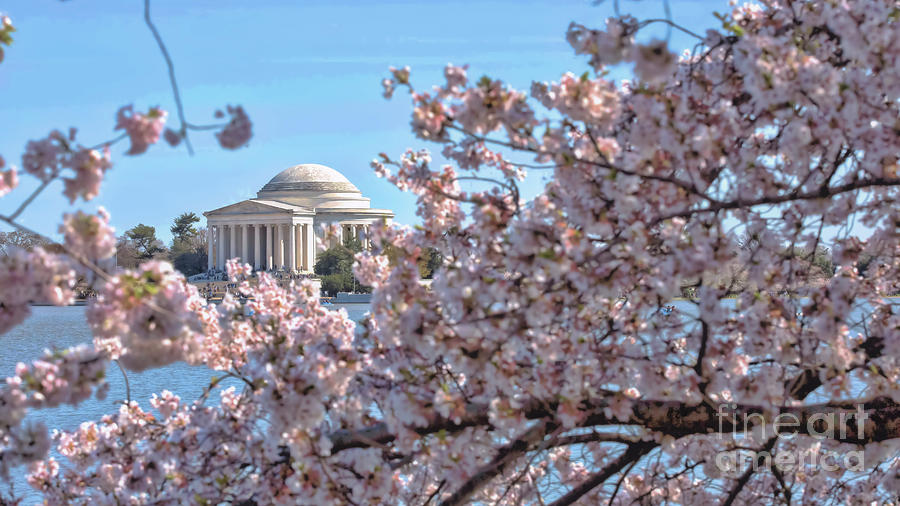 The Jefferson Memorial Photograph by Agnes Caruso