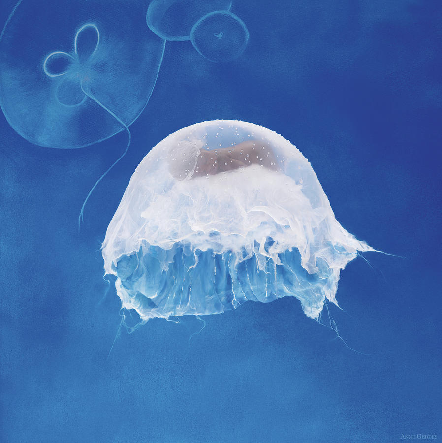 Under The Sea Photograph - The Jellyfish Nursery by Anne Geddes
