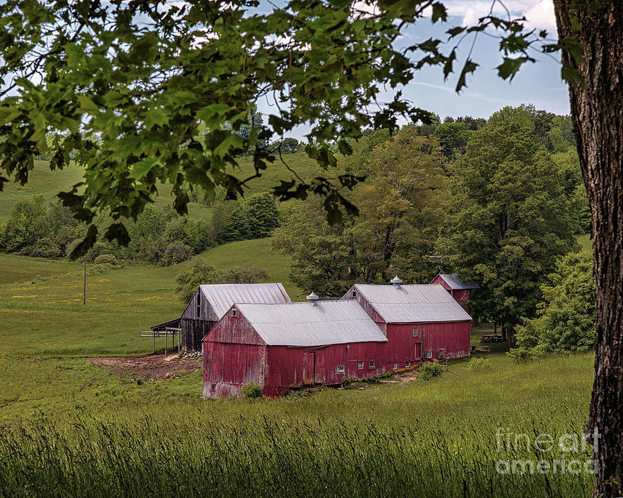 The Jenne Farm II Photograph by Rod Best