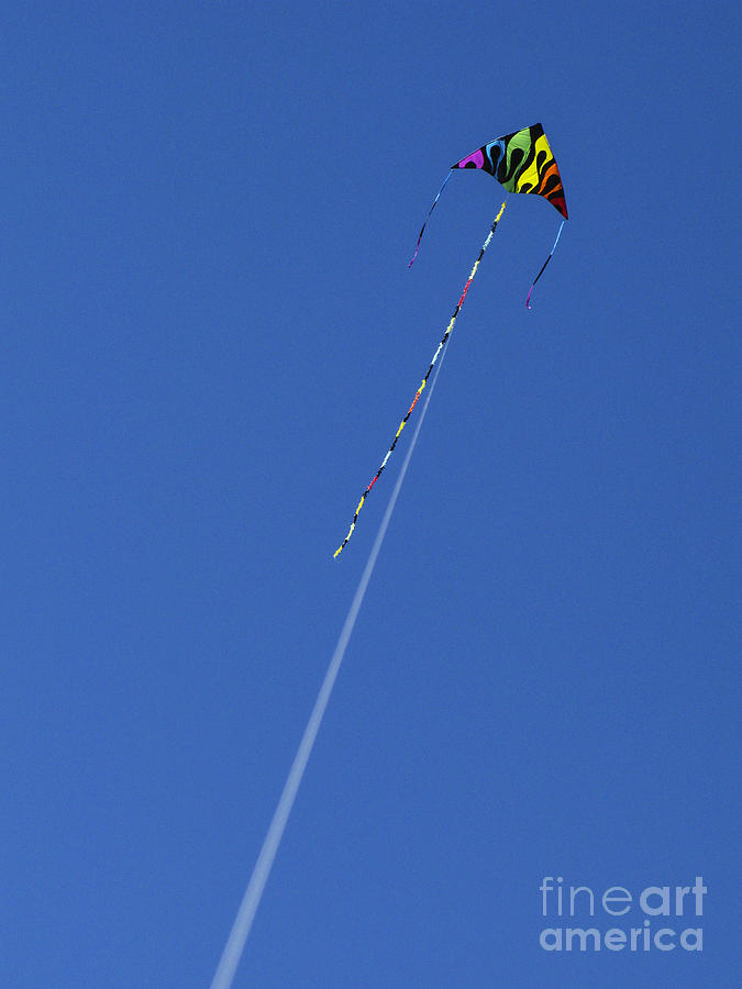 The Jet Kite Photograph