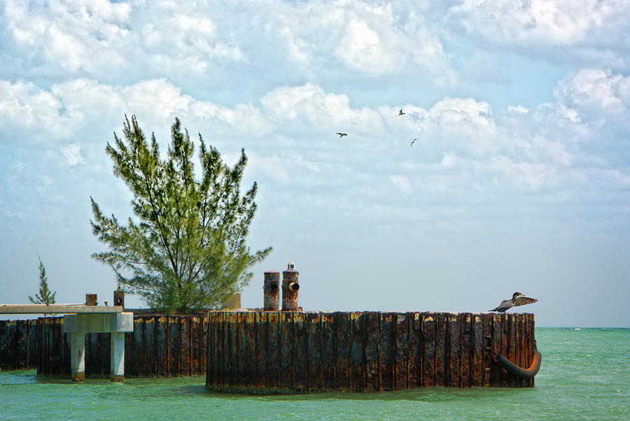 The Jetty at Sanibel Island - Florida Photograph by Mitch Spence