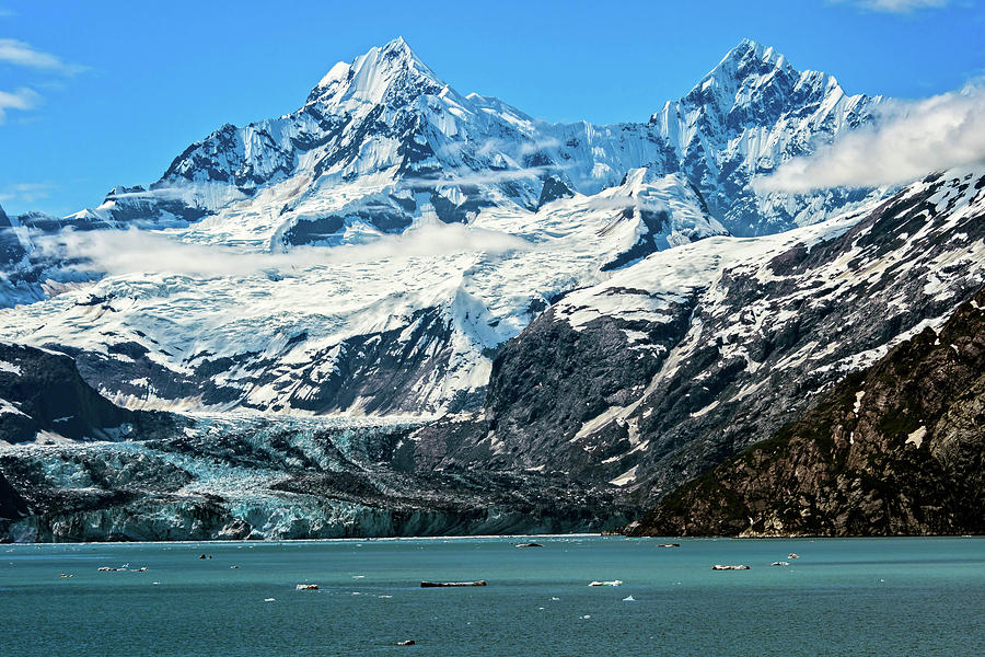The John Hopkins Glacier Photograph by John Hight