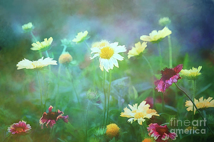 The Joy of Summer Flowers Photograph by Anita Pollak