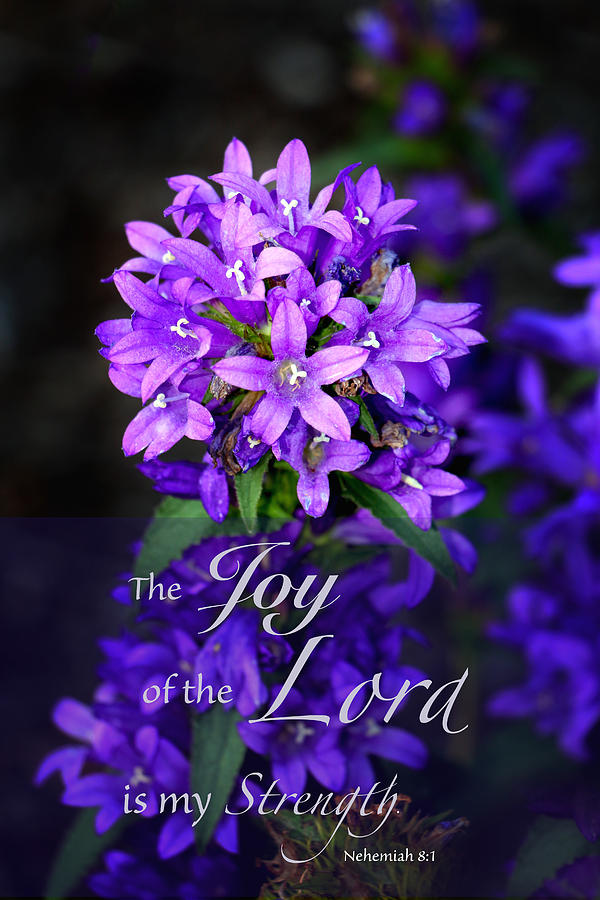 The Joy of the Lord is My Strength Photograph by Debbie Nobile