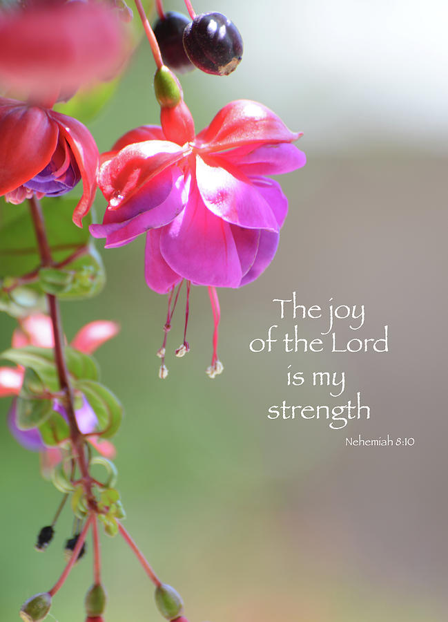 The Joy of the Lord Photograph by Lynn Bauer