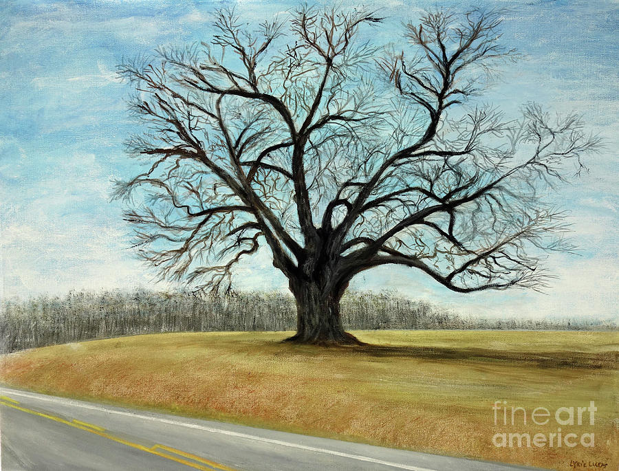 The Keeler Oak Painting by Lyric Lucas