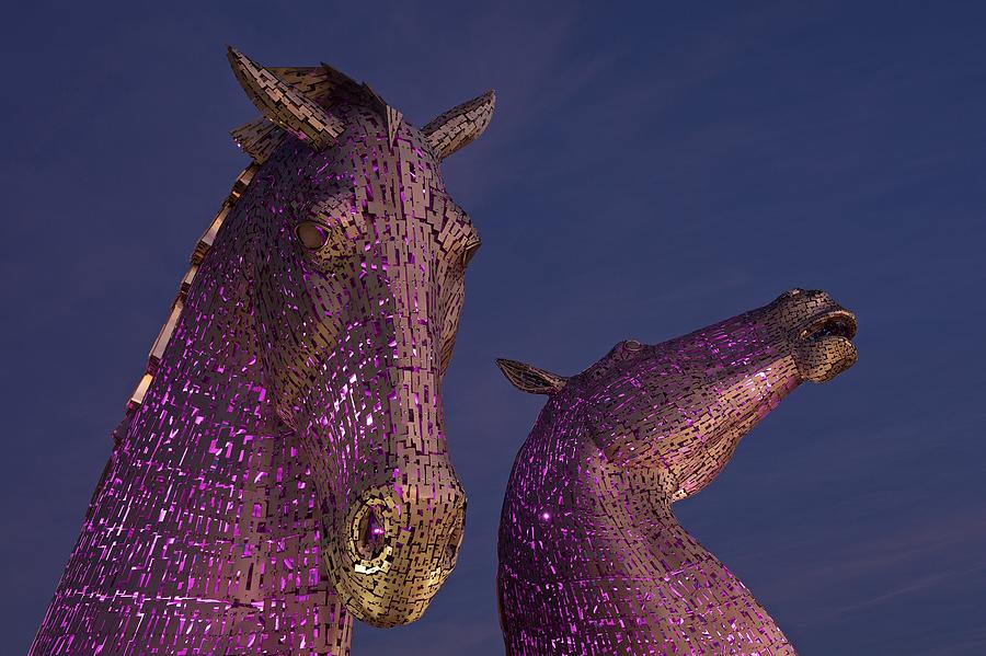 The Kelpies at Dawn Photograph by Stephen Taylor