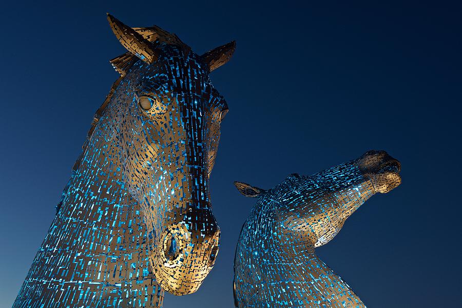 The Kelpies lit in Blue Photograph by Stephen Taylor