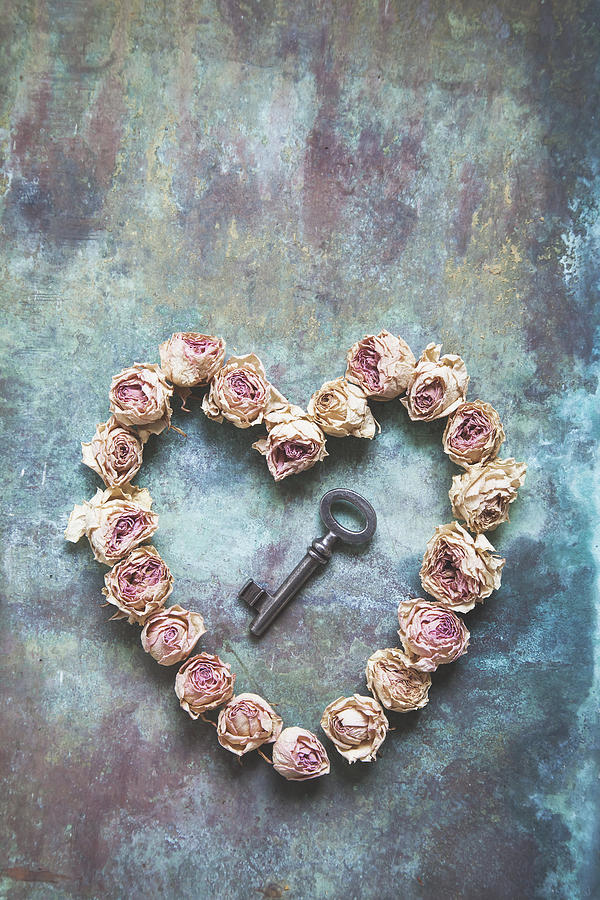 The key to your heart Photograph by Maria Heyens