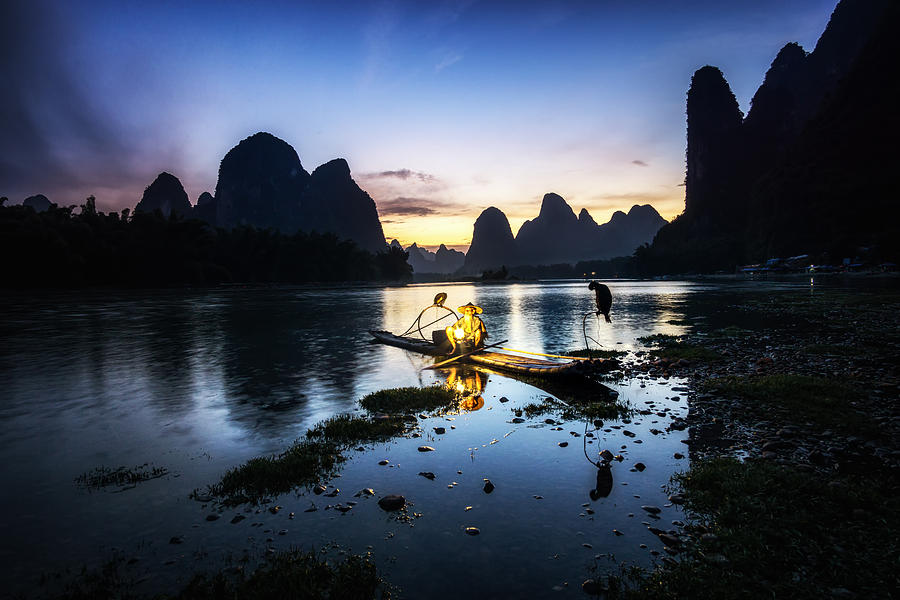 Nature Photograph - The King Fisherman by Aaron Choi Nature Photograph - The King Fisherman by Aaron Choi