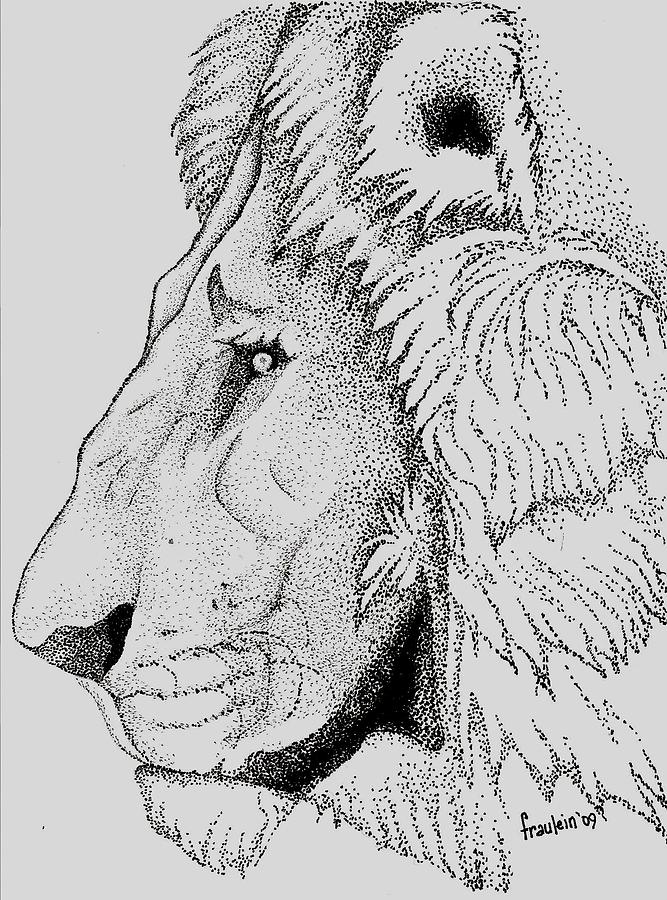 Wildlife Drawing - The King by Glory Fraulein Wolfe