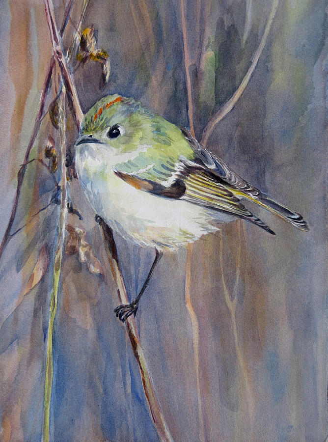 Ruby-crowned Kinglet Painting by Karyn DEKRAMER | Fine Art America