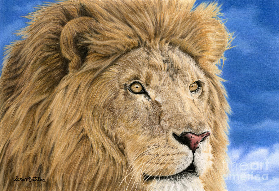 Lion Painting - The King by Sarah Batalka Lion Painting - The King by Sarah Batalka