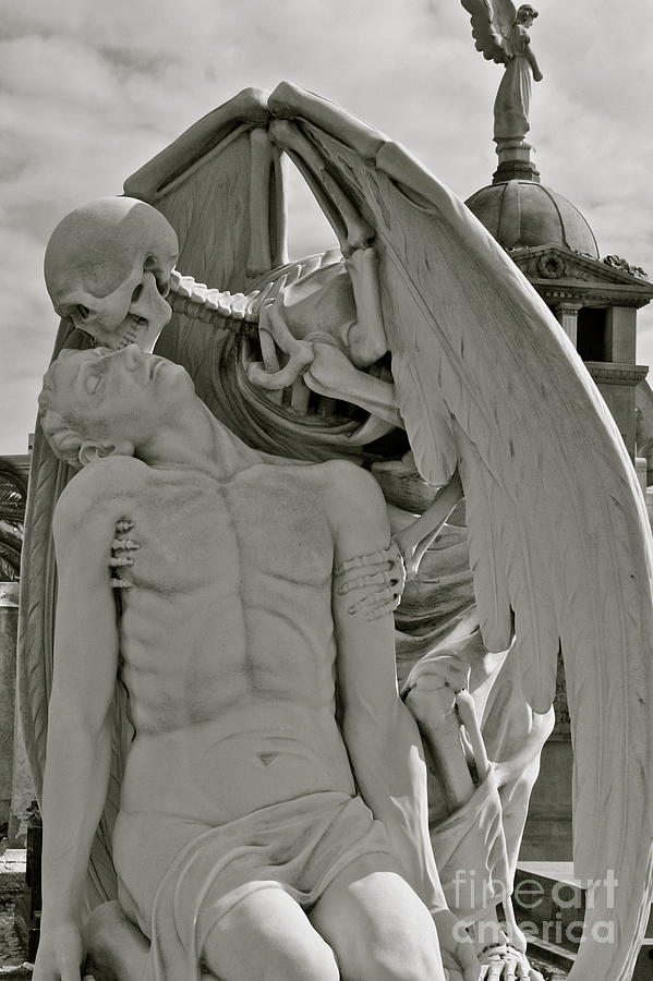 The Kiss Of Death Photograph By Amy Sorvillo Pixels