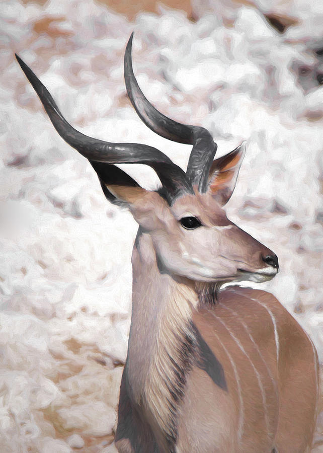 The Kudu Portrait Digital Art by Ernest Echols