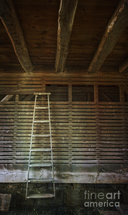 The Ladder Photograph by Debra Fedchin
