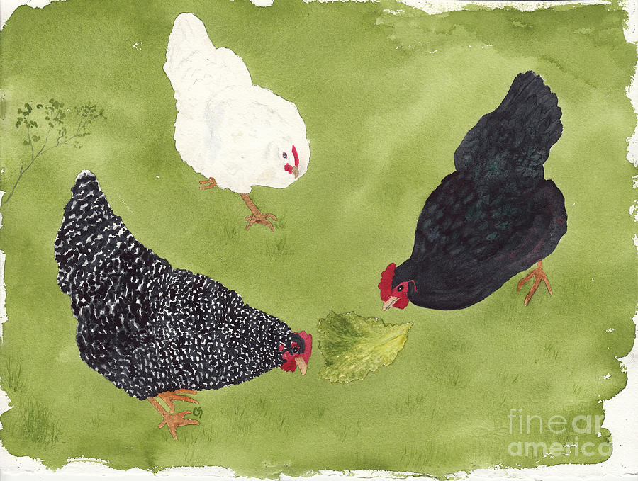 The Ladies Love Salad Three Hens With Lettuce Painting by Conni Schaftenaar