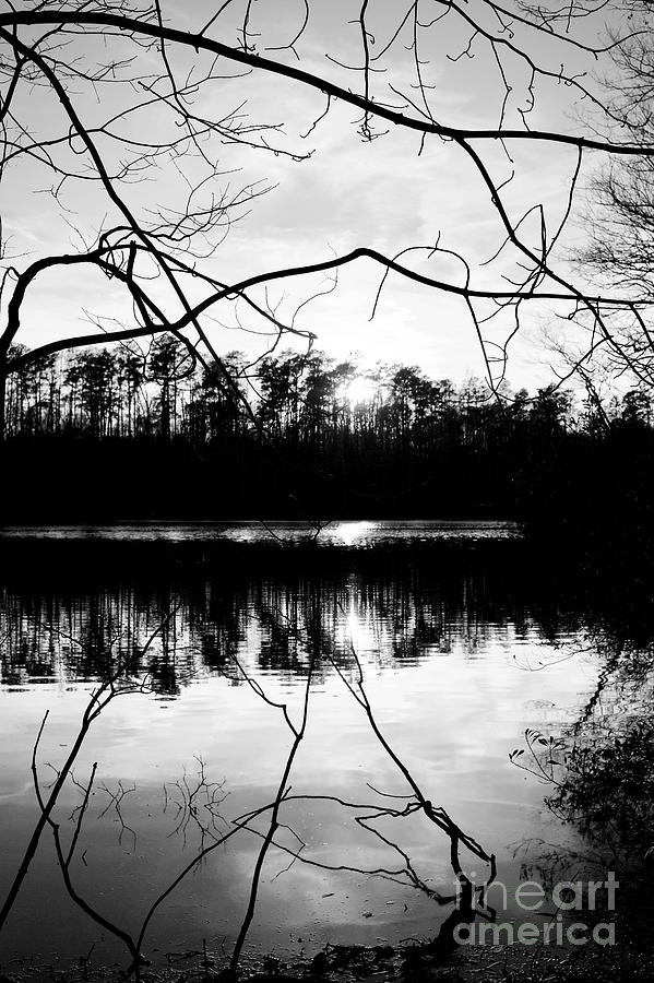 The Lake in Black and White Photograph by Rachel Morrison