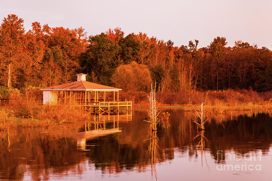 The Lake in Fall Colors Photograph by George Lehmann