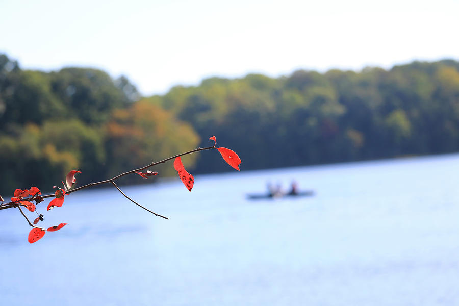 The Lake Photograph by Tony Umana The Lake Photograph by Tony Umana
