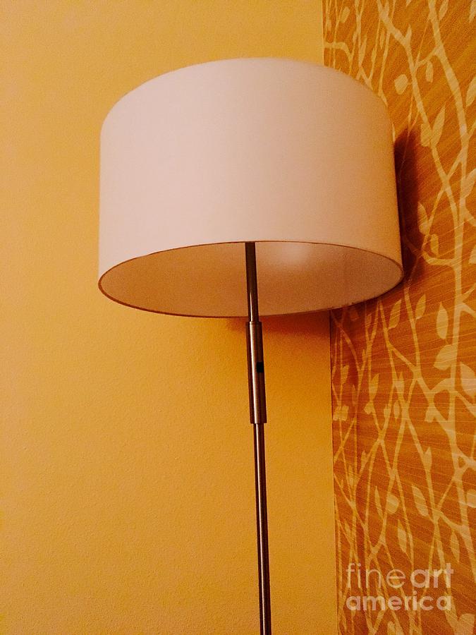 The Lamp Photograph
