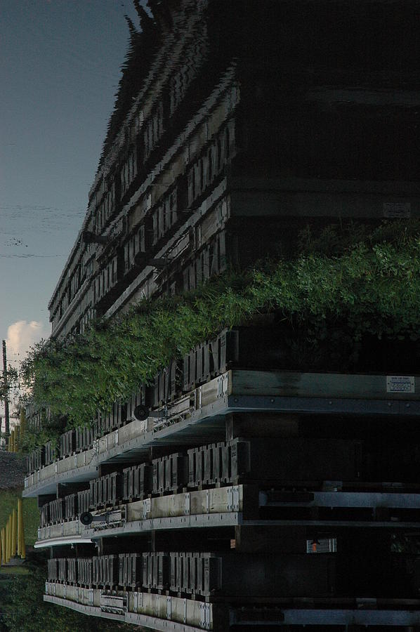 The Land in Reverse Photograph by Megen McAuliffe Fine Art America