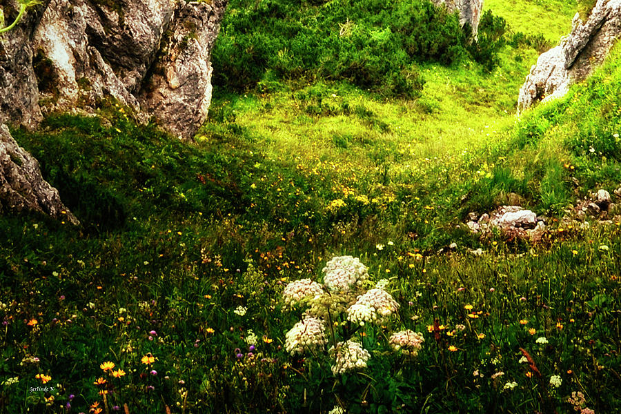 The Land of Enchantment Tirol Austria Photograph by Gerlinde Keating