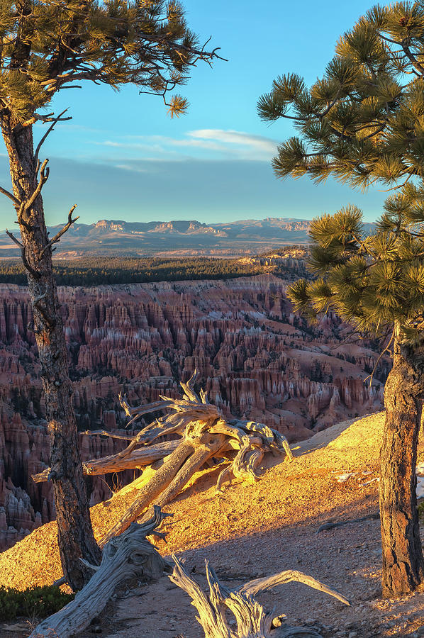 The Landscape at Bryce Canyon Photograph by Jonathan Nguyen