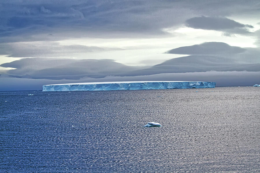 The Largest Iceberg Photograph by John Haldane