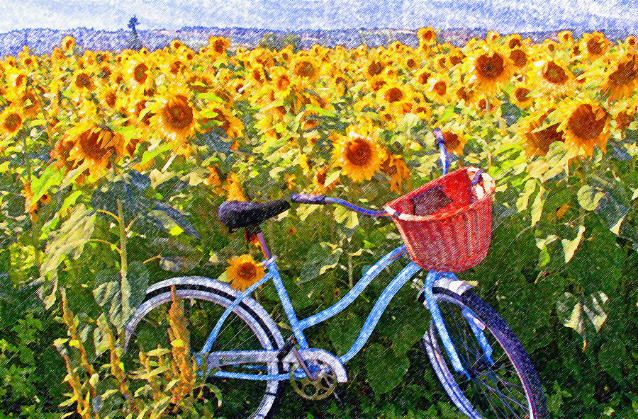 The Last Day of Summer Photograph by Margaret Hood | Fine Art America