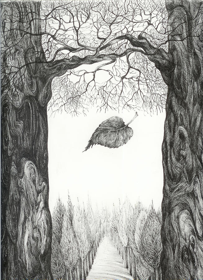 The last leaf. better image Drawing by Anna  Duyunova