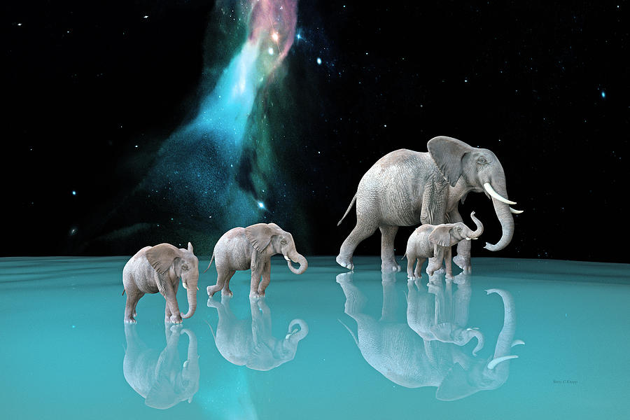 Elephant Digital Art - The Last Mother by Betsy Knapp