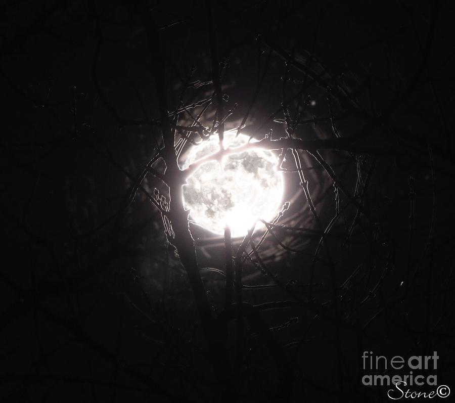 The Last Nights Moon Photograph by September Stone